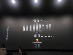 -悦江新远影城IMAX