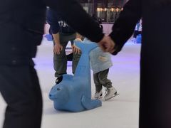 -TheRink大零溜冰场(IFS国金中心店)