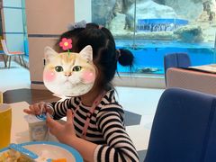 -帝企鹅自助餐厅•儿童岛•真企鹅(长隆企鹅酒店)