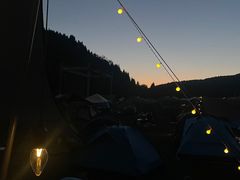 -武陵山森林公园