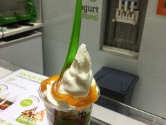 -Salud撒露欧洲冻酸奶(蓝色港湾店)