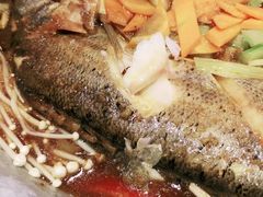 -鱼颜诱纸纸上烤鱼·蛙(龙湖天街店)
