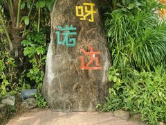 -呀诺达热带雨林