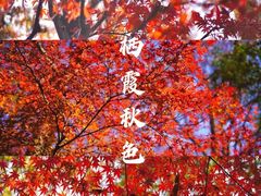 -颐和路民国时期公馆风貌区