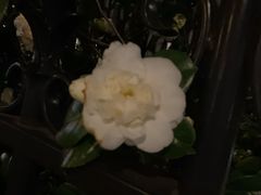 -埃菲尔铁塔