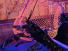 -The Boiling Crab宝灵蟹手抓海鲜(中国首店)