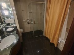 -上海金陵紫金山大酒店