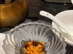 海胆-半岛翡丽海鲜自助餐厅(观风亭店)