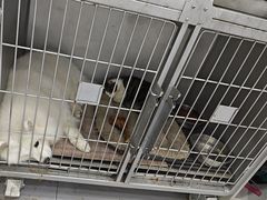 -派特宠物医院(圆融广场店)