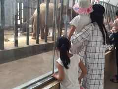 -石家庄市动物园