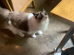 -咖法森林·咖啡  酒吧(天河店)