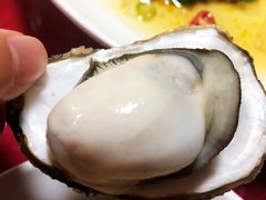-舒味姜母鸭·沙茶面(湖里店)