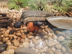 -上海昆虫博物馆