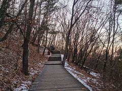 -帽儿山国家森林公园