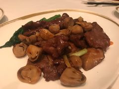 -金轩中餐厅 Jin Xuan(浦东丽思卡尔顿酒店)