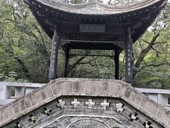 -北京植物园南门售票处