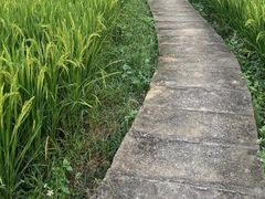 -靖西锦绣古镇景区