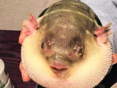 -永安鱼庄·镇江菜(东吴路店)