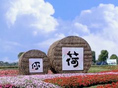 -嘉北郊野公园