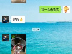 -瑞派·关忠动物医院(国瑞店)