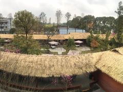 -胖大姐黄辣丁鱼庄(新津店)