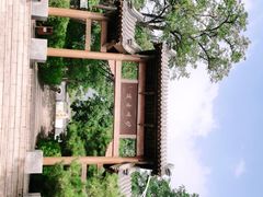 -阳台山自然风景区