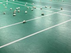 -健龙森俱乐部·游泳·健身·羽毛球综合体育馆