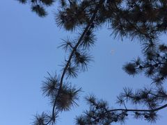 -汉长安城未央宫国家考古遗址公园