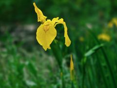 -苏州河梦清园环保主题公园