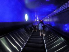 -白鹤梁水下博物馆