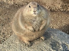 -祥源·阜阳生态乐园