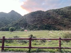 -狮子沟牧场