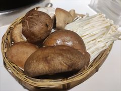 -卤校长老火锅(沙坪坝直营店)