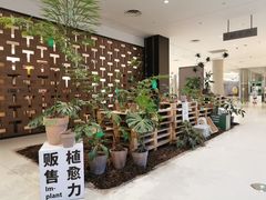 -茑屋书店(天目里店)