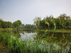 -东郊湿地公园