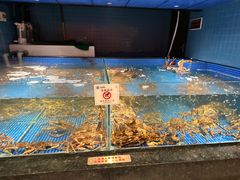 -东海怡品海鲜豆捞(星街坊店)