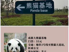 -成都大熊猫繁育研究基地