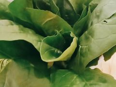-犇鼎牛潮汕牛肉火锅(新辰里学清路店)