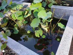 -蓟县沐风庄园精品民宿农家院(梨木台店)