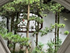 -上海醉白池公园