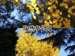 -Catail前苑(前门大街店)