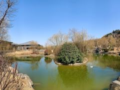 -鹦鹉寺公园