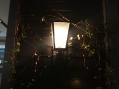 -gaga(深圳南山益田假日广场店)