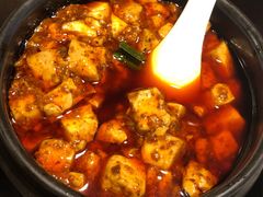 -陈麻婆豆腐总店