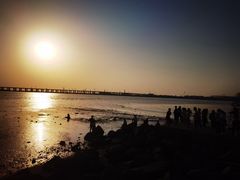 -宝安西湾红树林湿地公园