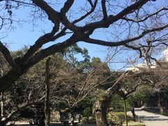 -水前寺成趣园