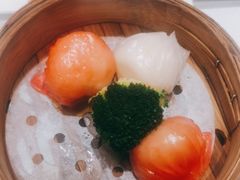 虾饺皇-君庭中餐厅(友谊宾馆店)