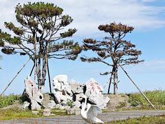 -黑龙江扎龙生态旅游区