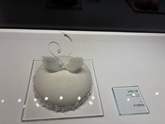 -BLACKSWAN黑天鹅(新希望店)