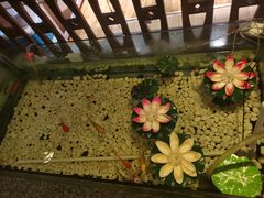 -樱蘭全息养生馆(三里屯店)
